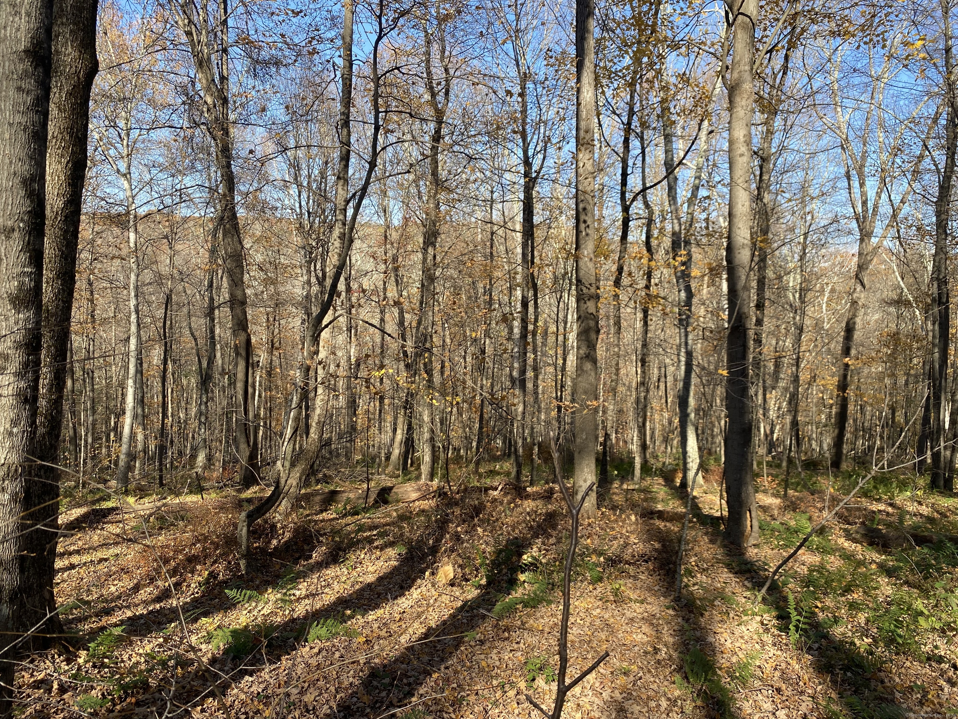Lot 4 0 Silver Hill Road, Sharon, Connecticut image 6