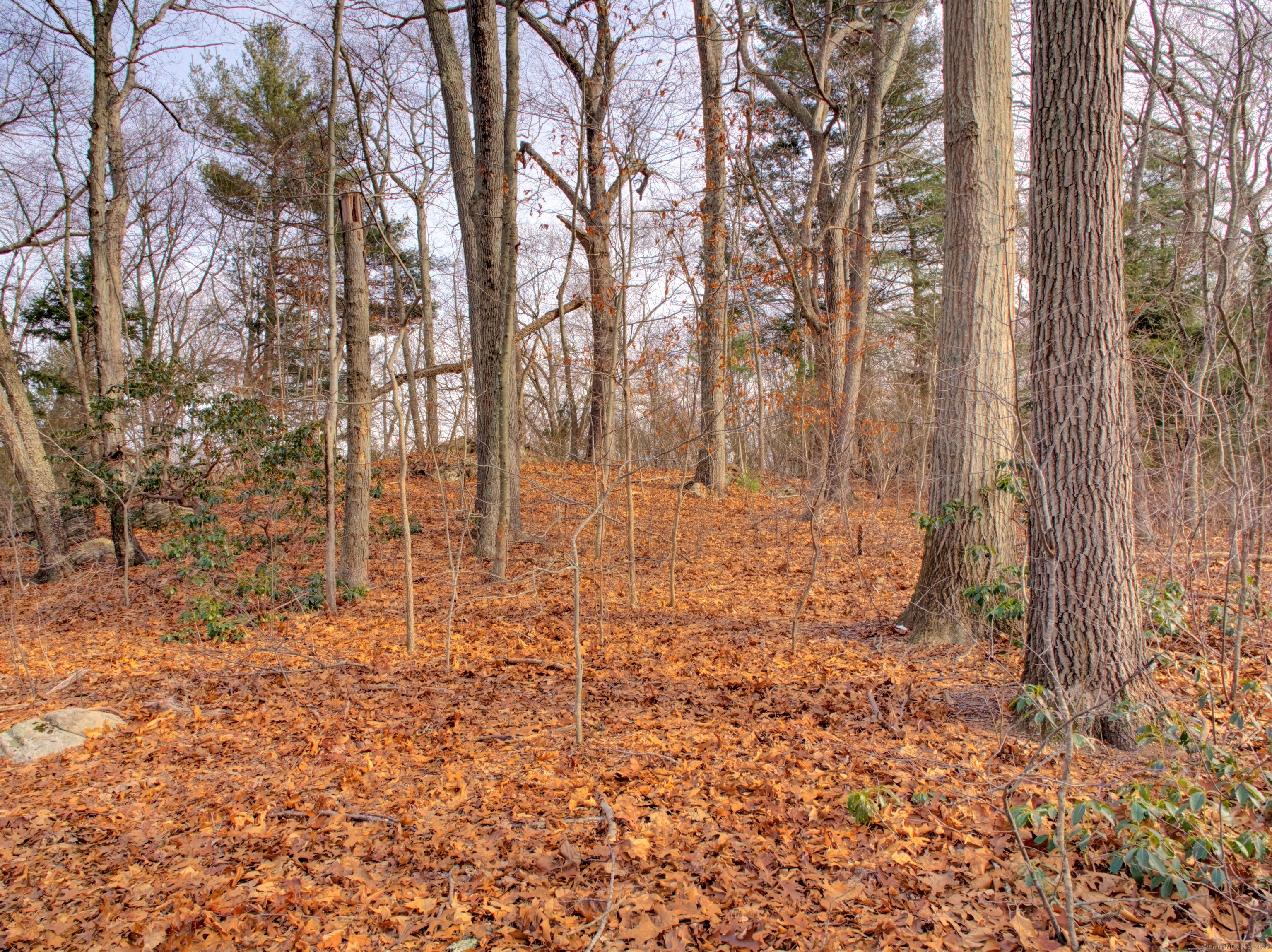 65 Inchcliffe Drive, Ledyard, Connecticut image 12