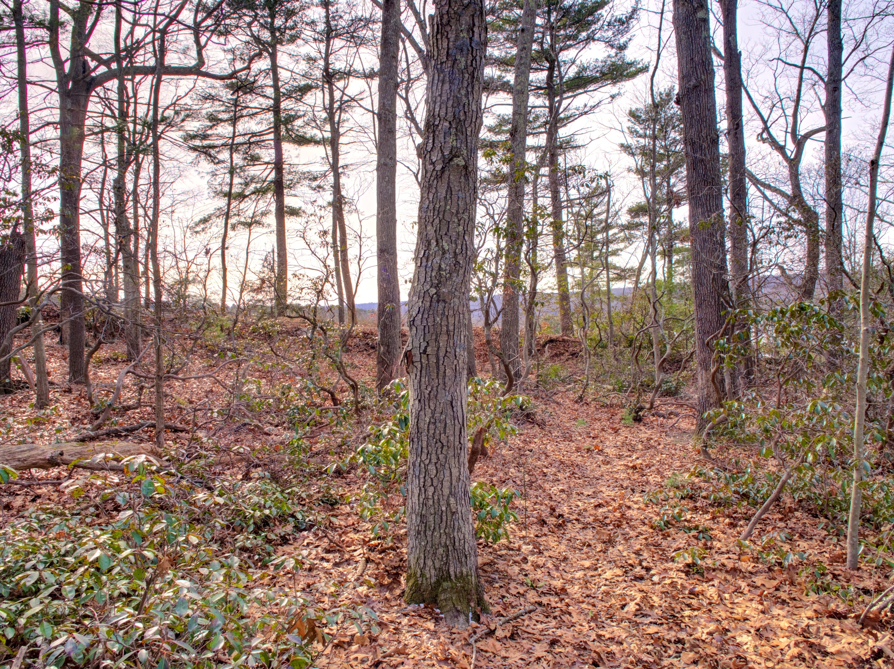 65 Inchcliffe Drive, Ledyard, Connecticut image 13
