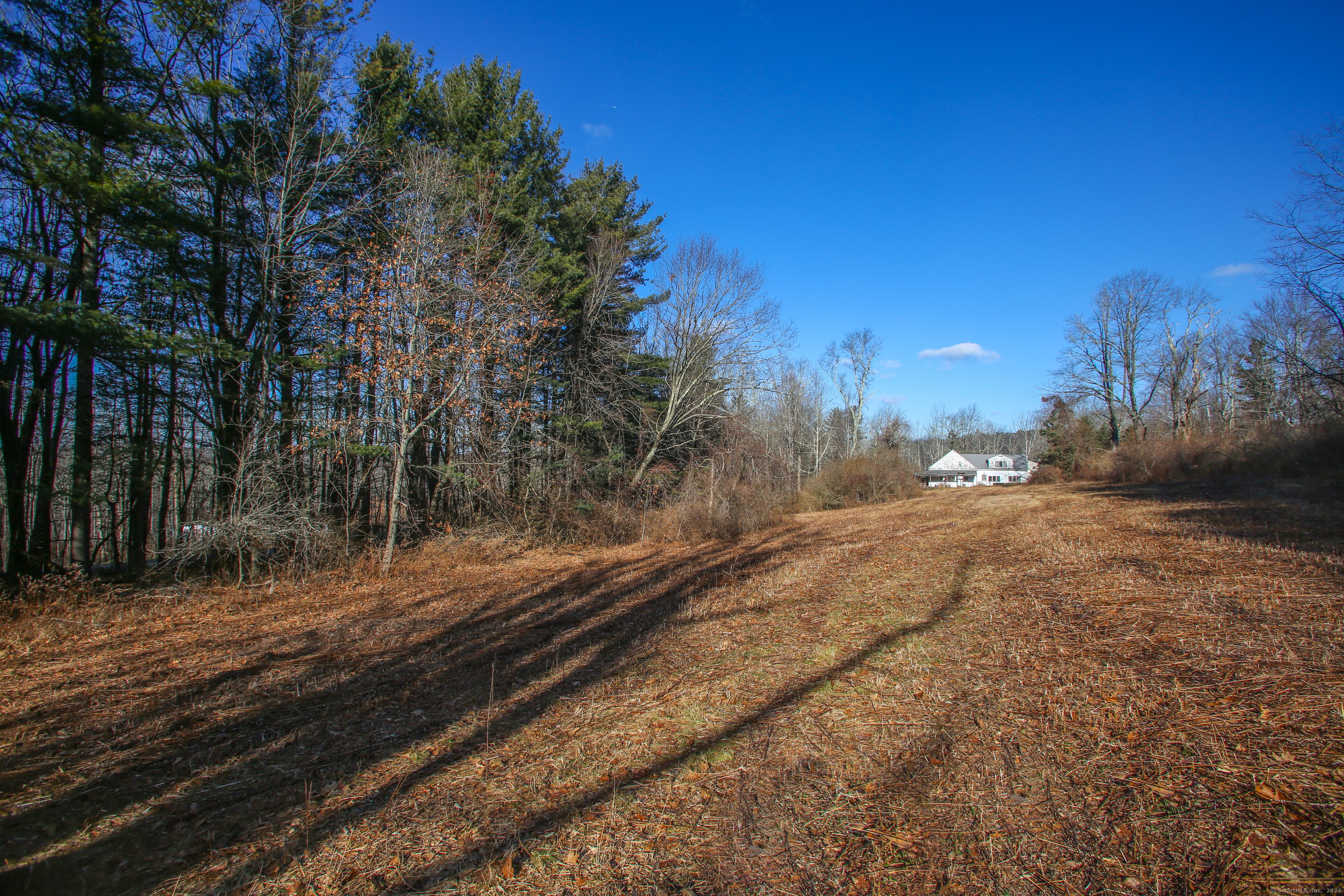 Angevine Road, Warren, Connecticut -  - 