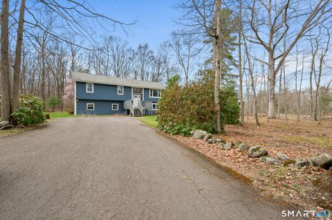 Photo of 62 Newell Hill Road, Ellington, CT 06029 (MLS # 24167469)