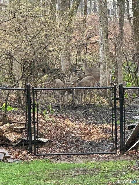 Tiny photo for 307 Clark Street, South Windsor, CT 06074 (MLS # 24164096)