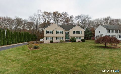 Photo of 307 Clark Street, South Windsor, CT 06074 (MLS # 24164096)