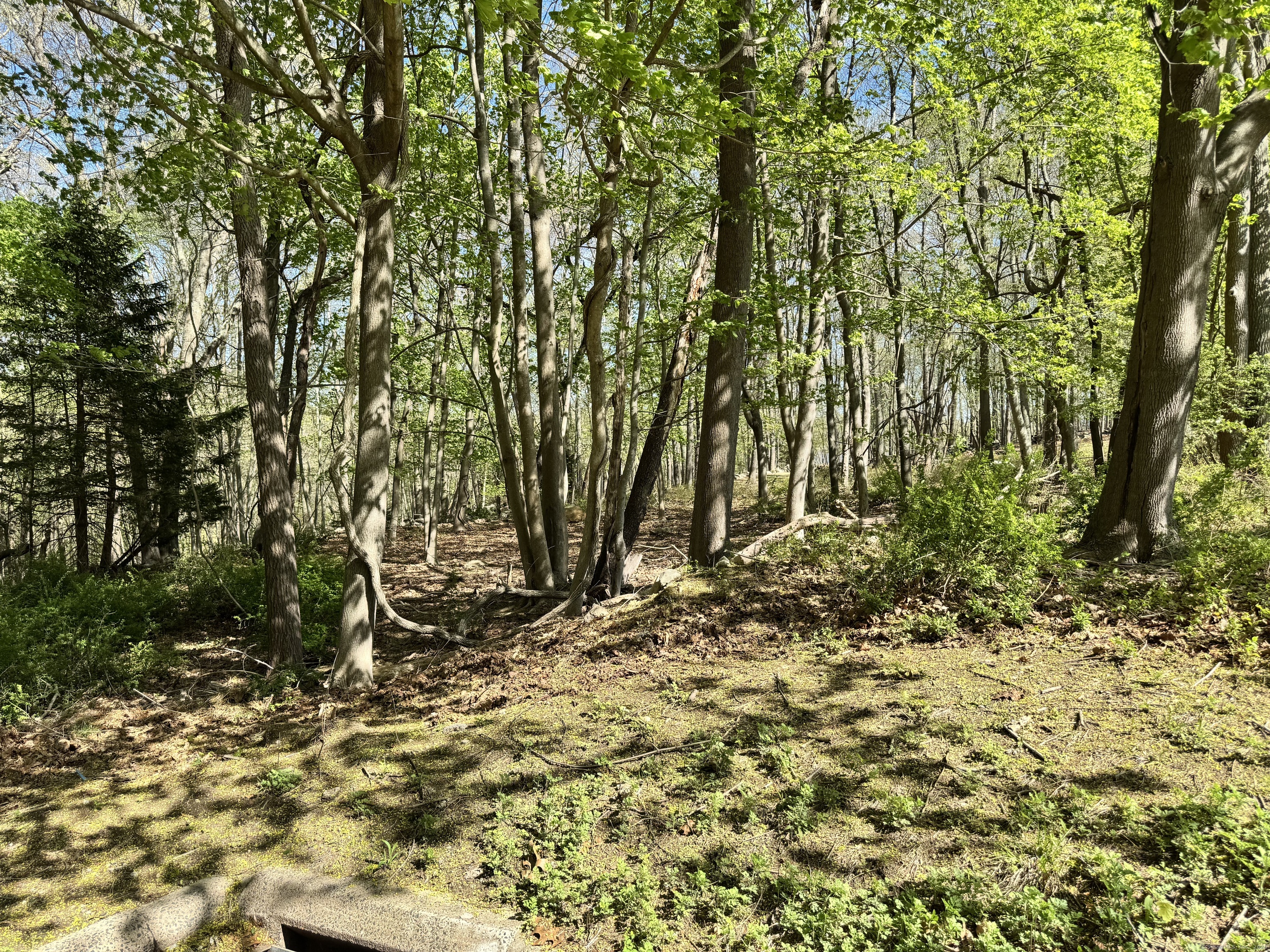 11 Mamacoke Road, Waterford, Connecticut image 1
