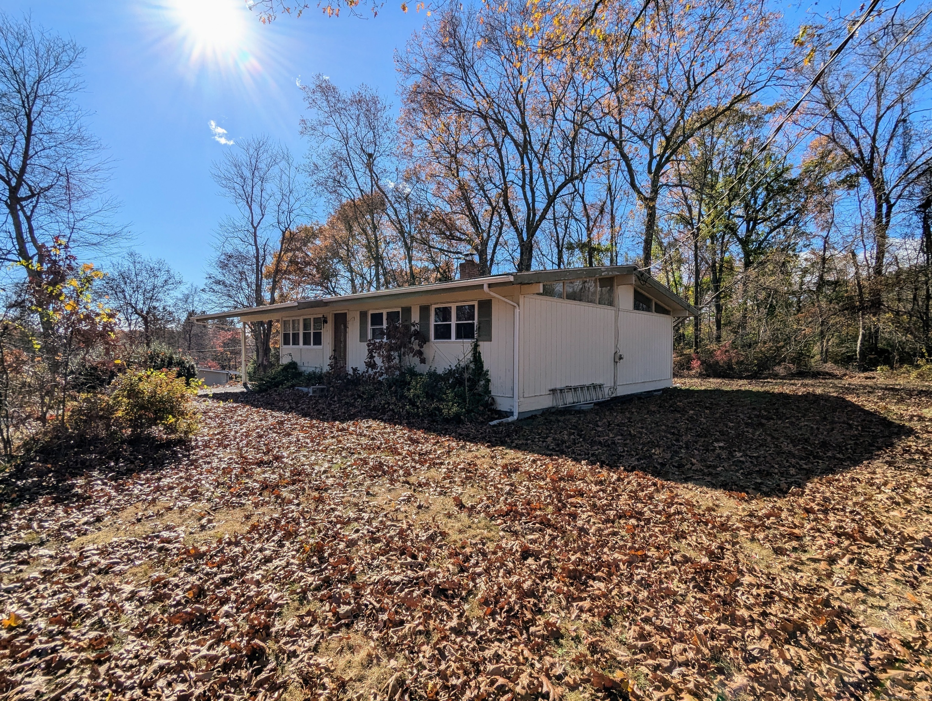 14 Hayes Road, East Hampton, Connecticut image 24