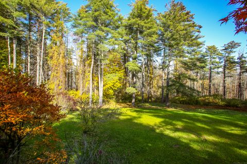 Tiny photo for 118 Washinee Heights Road, Salisbury, CT 06068 (MLS # 24137120)