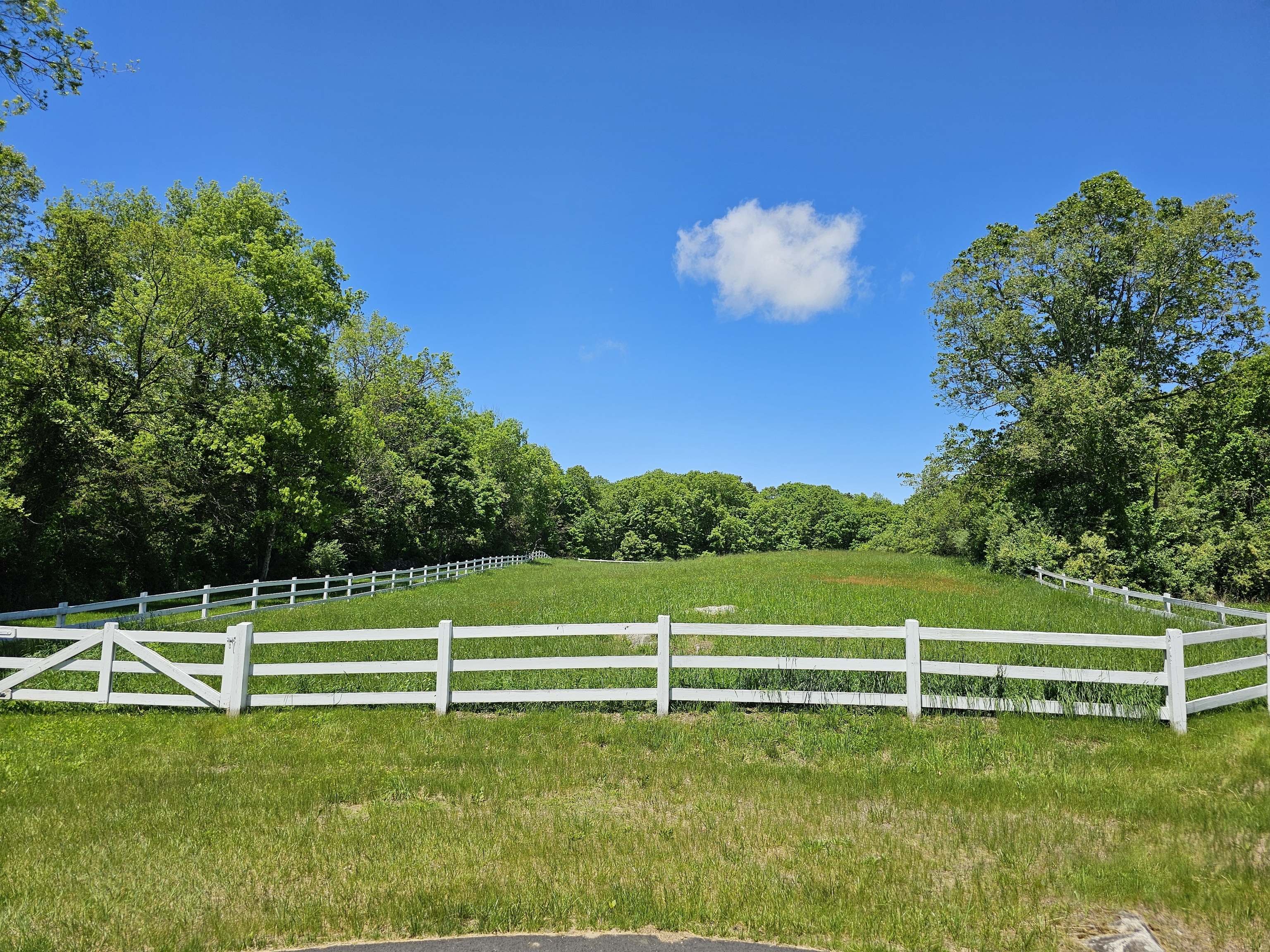 819 Main Street North