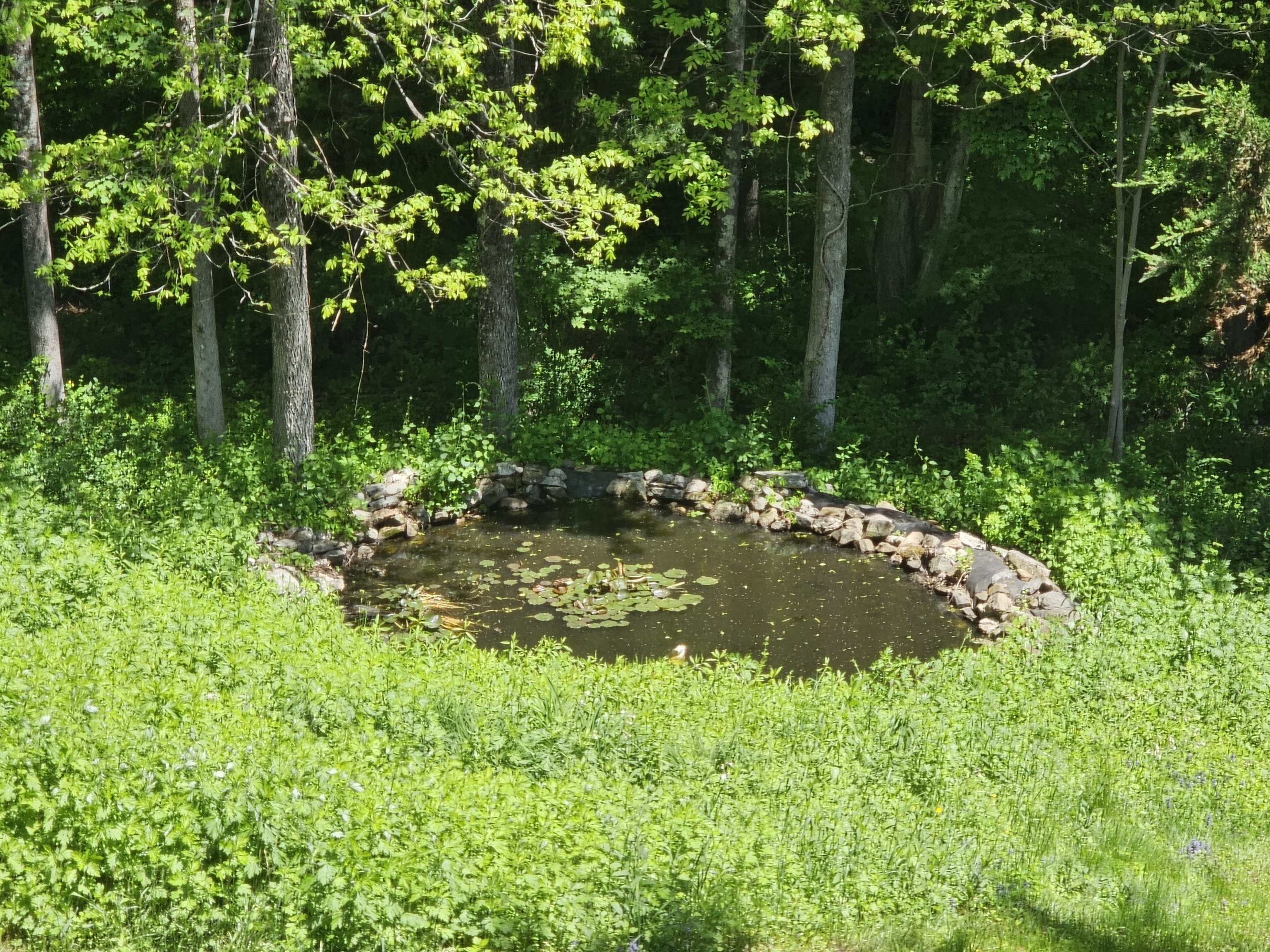 819 Main Street North