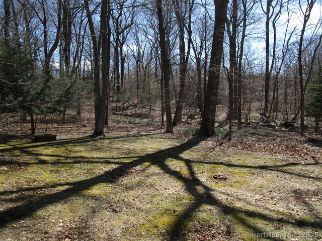 54 Visconti Drive, Naugatuck, Connecticut image 16