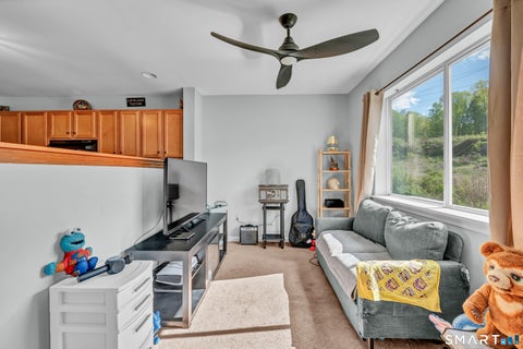 Tiny photo for 182 Willow Springs #182, New Milford, CT 06776 (MLS # 24193788)