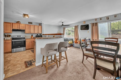 Tiny photo for 182 Willow Springs #182, New Milford, CT 06776 (MLS # 24193788)