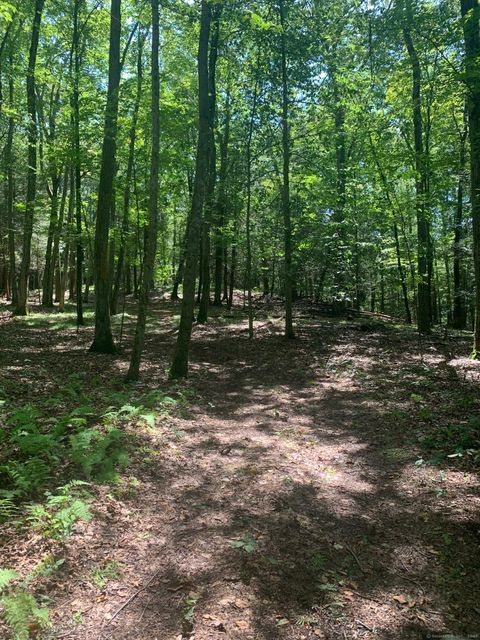 Lot 1 Chalybes Road West Roxbury CT 06783
