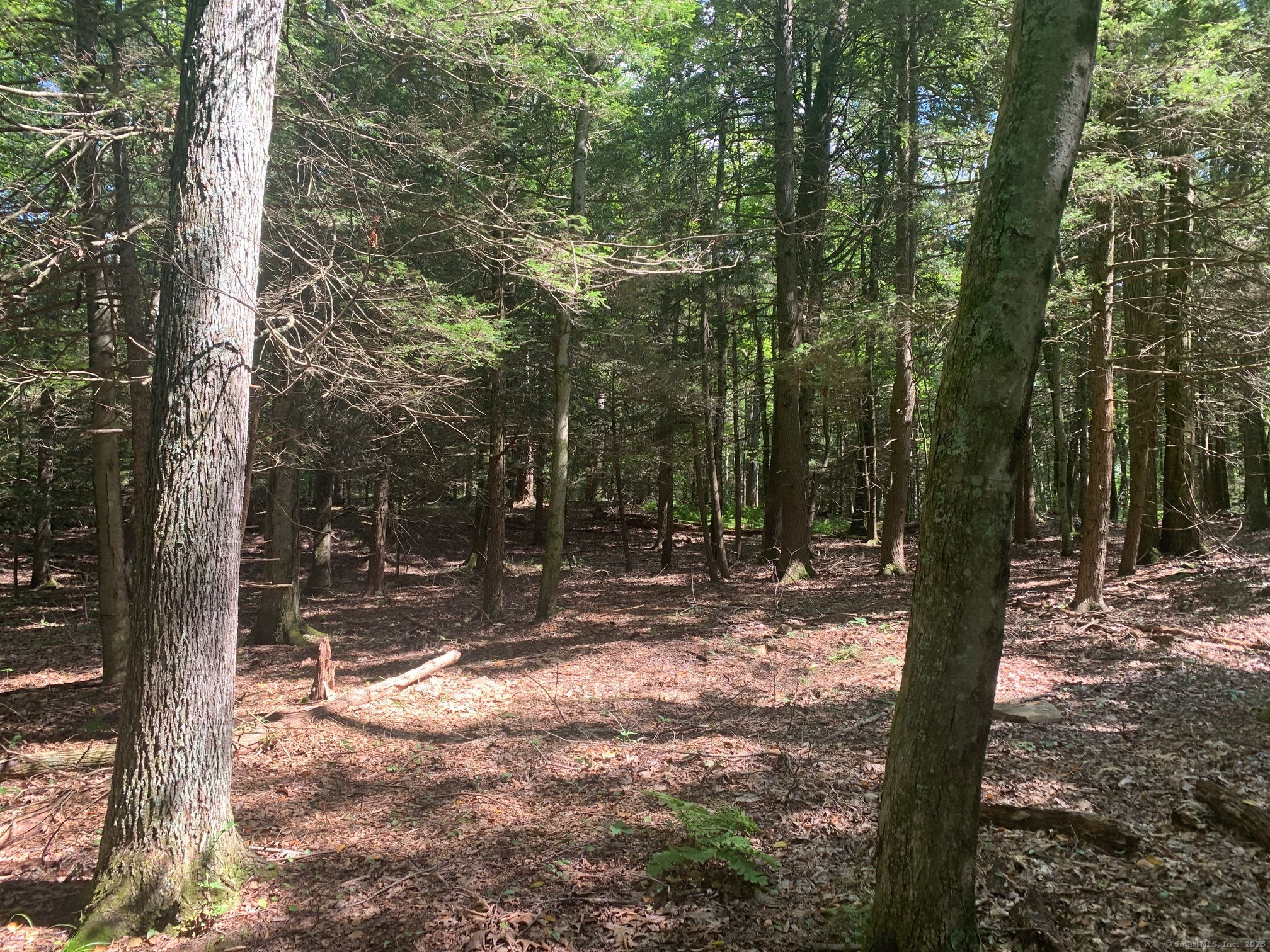 Lot 1 Chalybes Road West