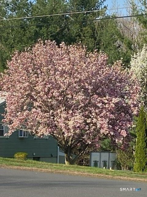 Tiny photo for 383 Lincoln Drive, Cheshire, CT 06410 (MLS # 24163027)