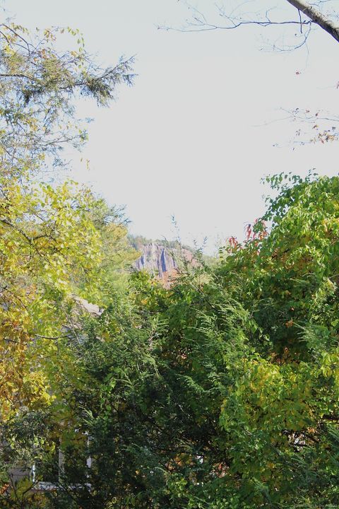 Tiny photo for 360 Fountain Street #APT 5, New Haven, CT 06515 (MLS # 24142359)