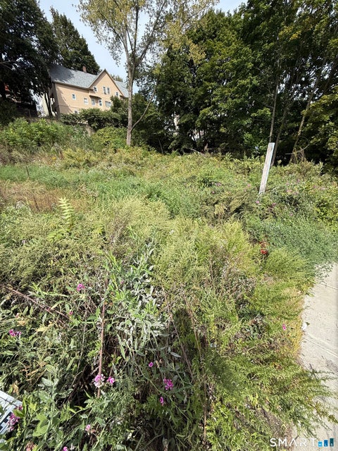 Tiny photo for 993 N Main Street, Waterbury, CT 06704 (MLS # 24210569)