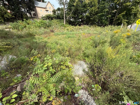 Tiny photo for 993 N Main Street, Waterbury, CT 06704 (MLS # 24210569)