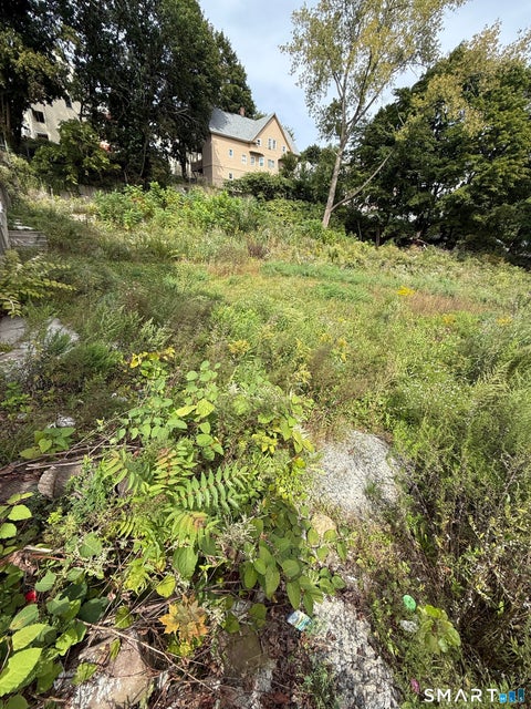 Tiny photo for 993 N Main Street, Waterbury, CT 06704 (MLS # 24210569)