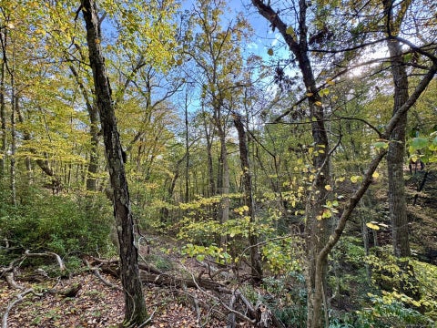 Vacant Land For Sale - 69 Moosehorn Road<br/> Roxbury, CT 06783
