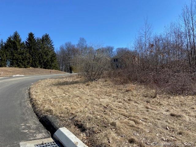 Photo 5 of 8 of 34 Platt Drive land