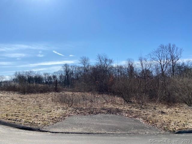 Photo 1 of 8 of 34 Platt Drive land