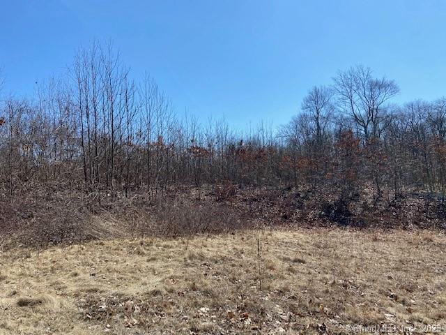 Photo 6 of 8 of 34 Platt Drive land