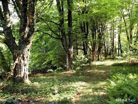 Tiny photo for 139 Grantville Road, Winchester, CT 06098 (MLS # 24213967)