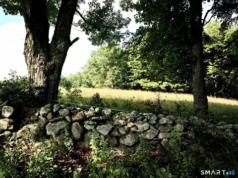 Tiny photo for 139 Grantville Road, Winchester, CT 06098 (MLS # 24213967)