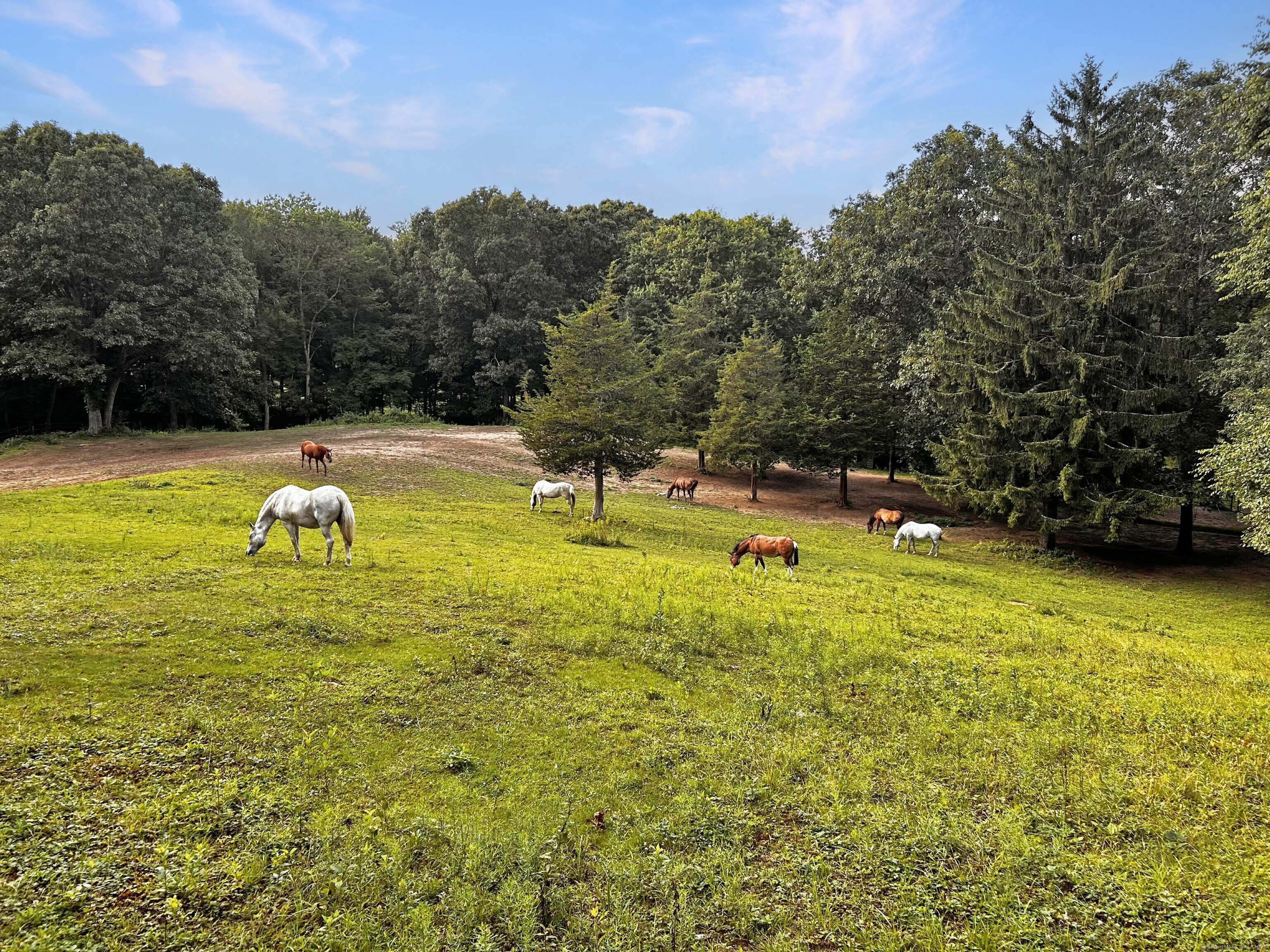 33 Lynch Road, Lebanon, Connecticut image 17