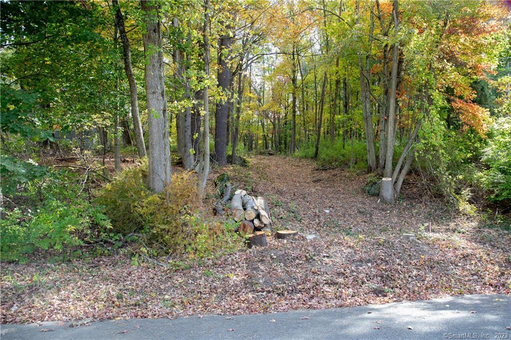 Greene Avenue, North Canaan, Connecticut -  - 