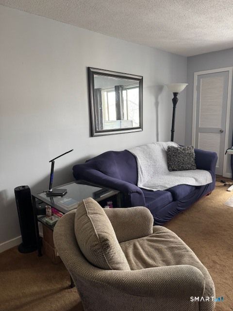 Tiny photo for 163 South Street #19, Danbury, CT 06810 (MLS # 24155930)