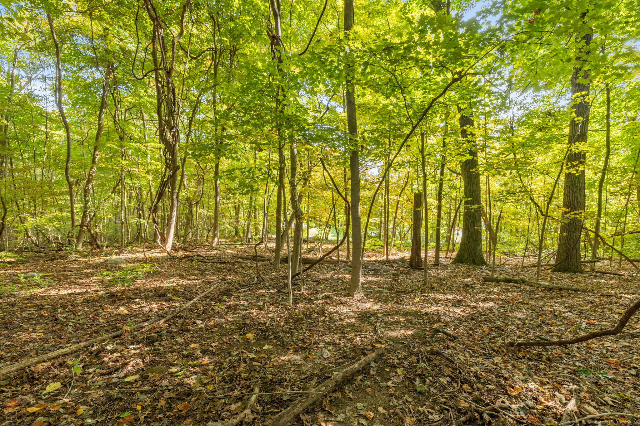 27 Partridge Run, Bristol, Connecticut image 20