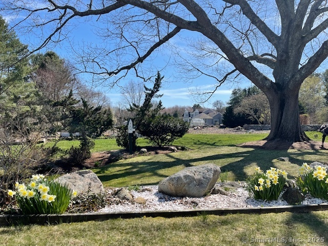 14 Findlay Way, Stonington, Connecticut image 36