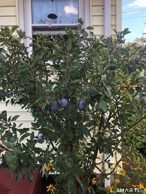 Tiny photo for 15 Oregon Avenue, Hamden, CT 06514 (MLS # 24166577)