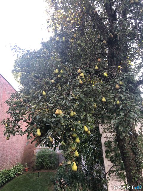 Tiny photo for 15 Oregon Avenue, Hamden, CT 06514 (MLS # 24166577)