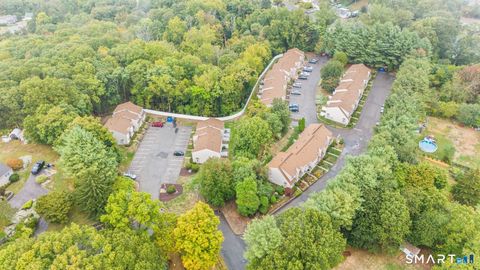 Photo of 3 Macintosh Lane #3, Ansonia, CT 06401 (MLS # 24162768)