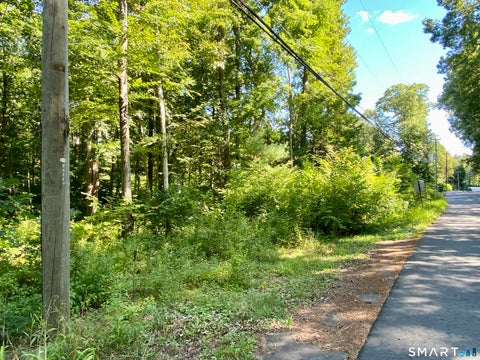 Vacant Land For Sale - 86 Seagraves Road<br/> Coventry, CT 06238