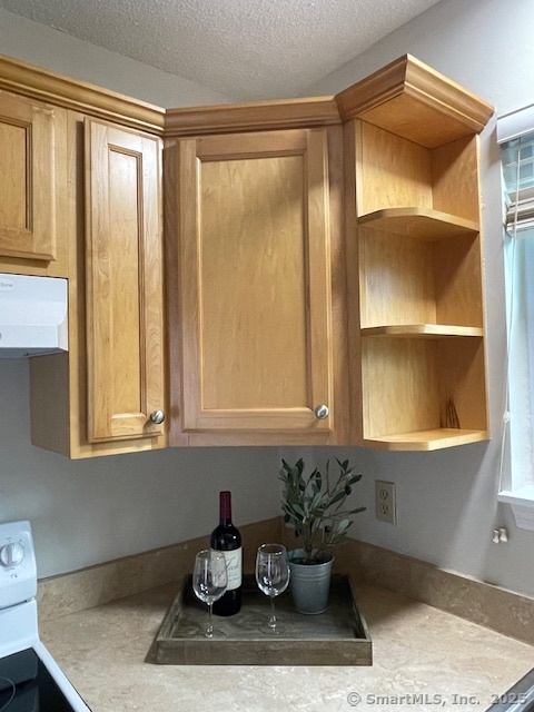 53 Brushy Plain Road #APT 3A, Branford, Connecticut image 5