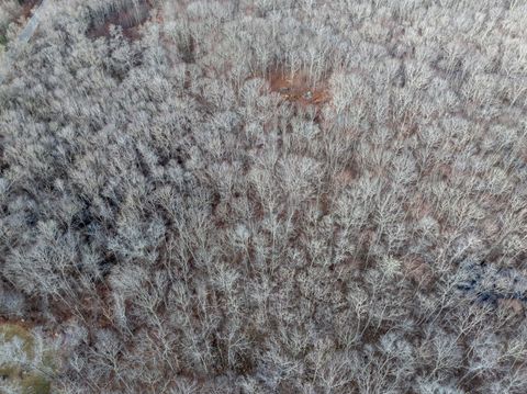 Tiny photo for Stonington, CT 06378 (MLS # 24147992)