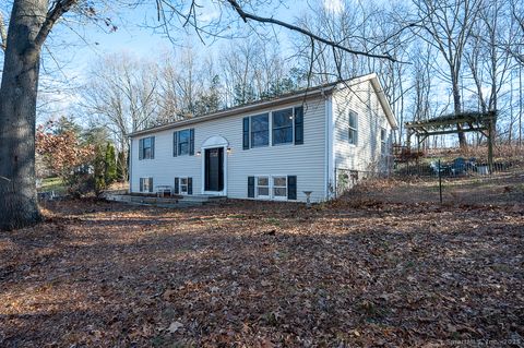 Photo of 437 Somers Road, Ellington, CT 06029 (MLS # 24142864)