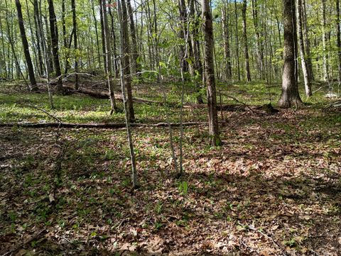 Vacant Land For Sale - Litchfield Road<br/> Watertown, CT 06795