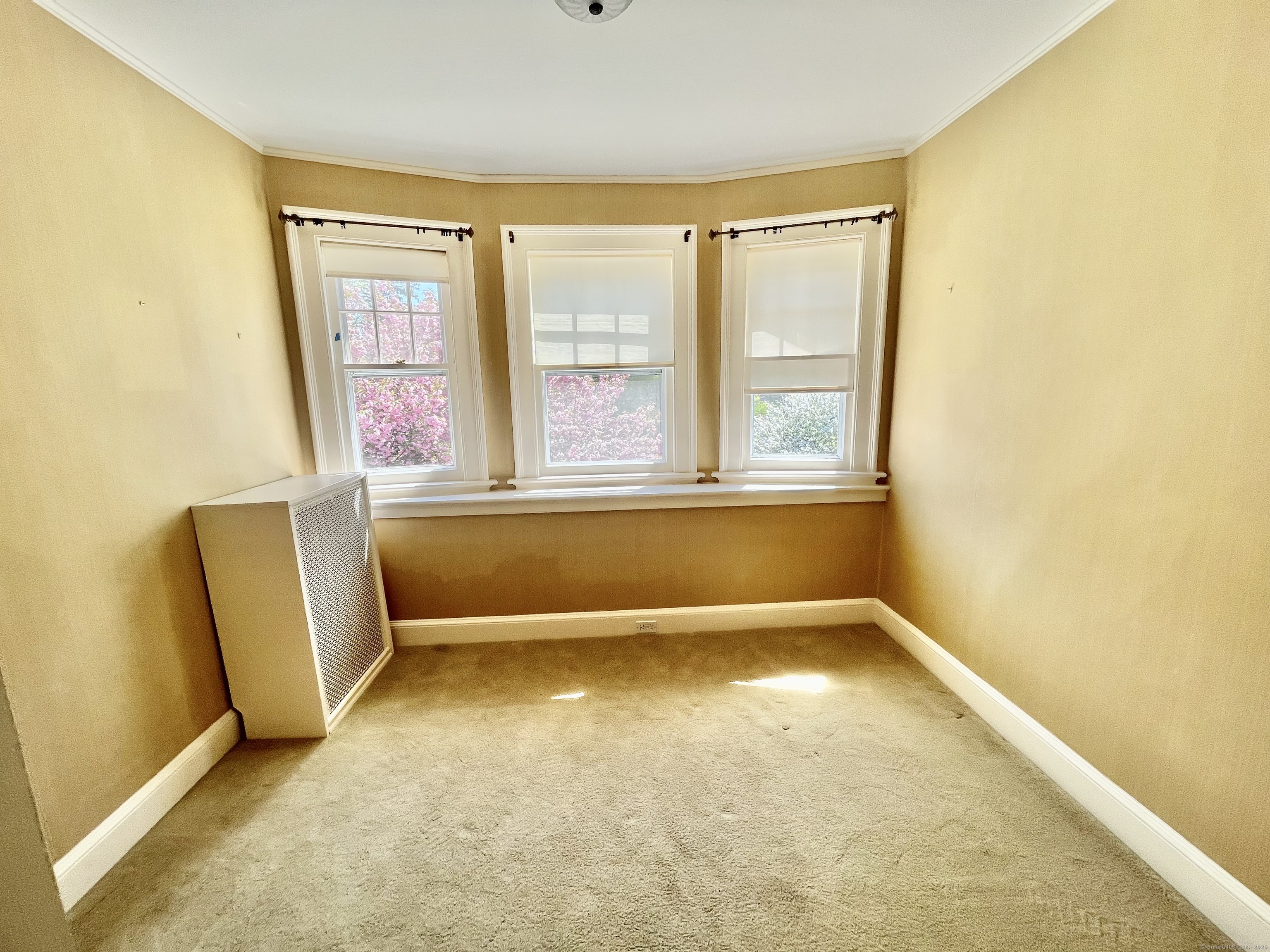140 Mckinley Avenue, New Haven, Connecticut image 20