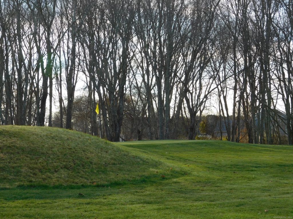 Photo of 6 Anita Avenue, Waterford, CT 06385 (MLS # 24144114)