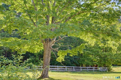 Tiny photo for 123 Stafford Street, Stafford, CT 06076 (MLS # 24189988)