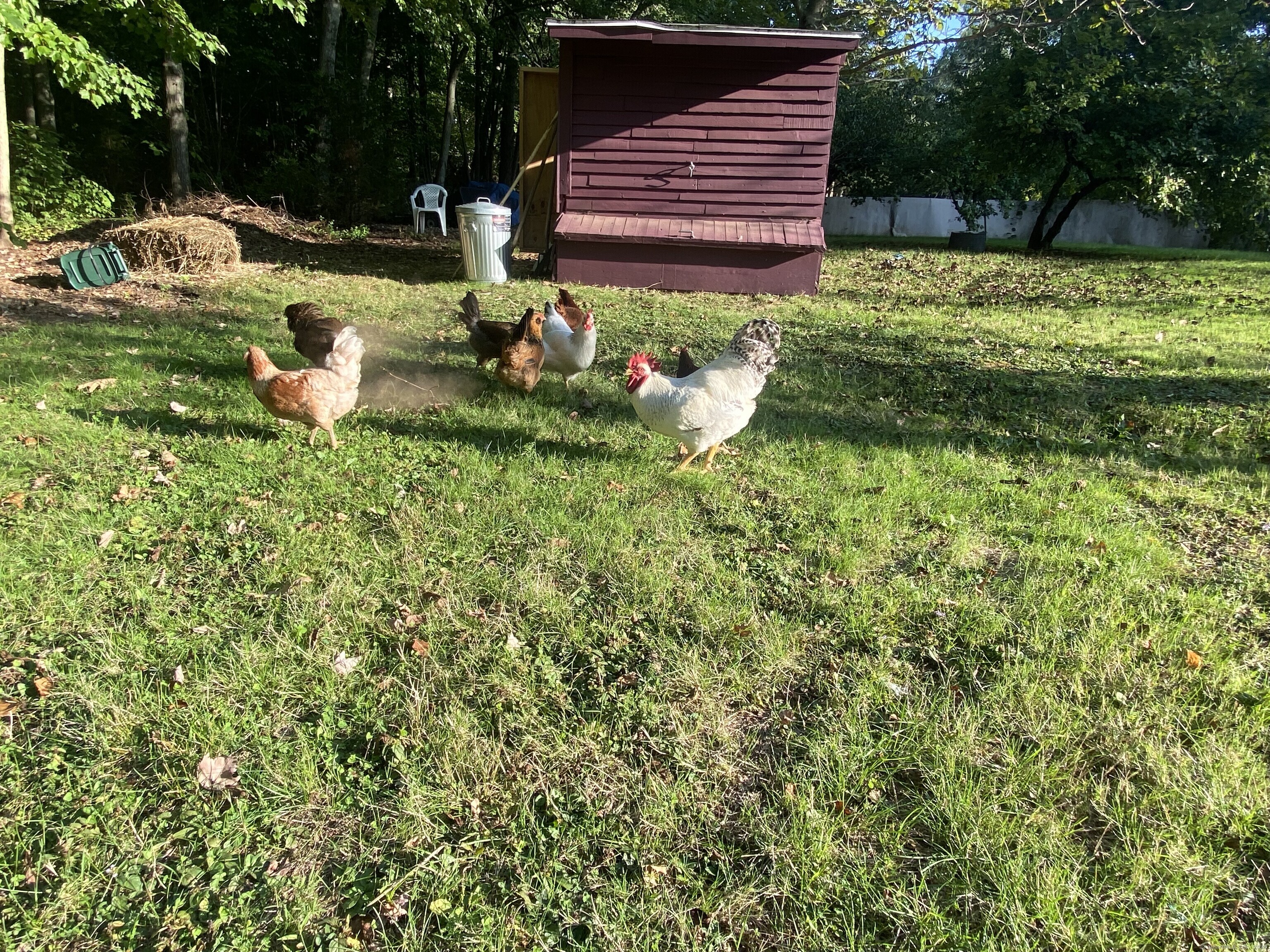 66 West Street, Middletown, Connecticut image 26
