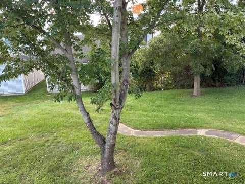 Tiny photo for 104 Meadow Street, Seymour, CT 06483 (MLS # 24209408)
