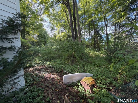 Tiny photo for 101 Partridgetown Road, Naugatuck, CT 06770 (MLS # 24209195)