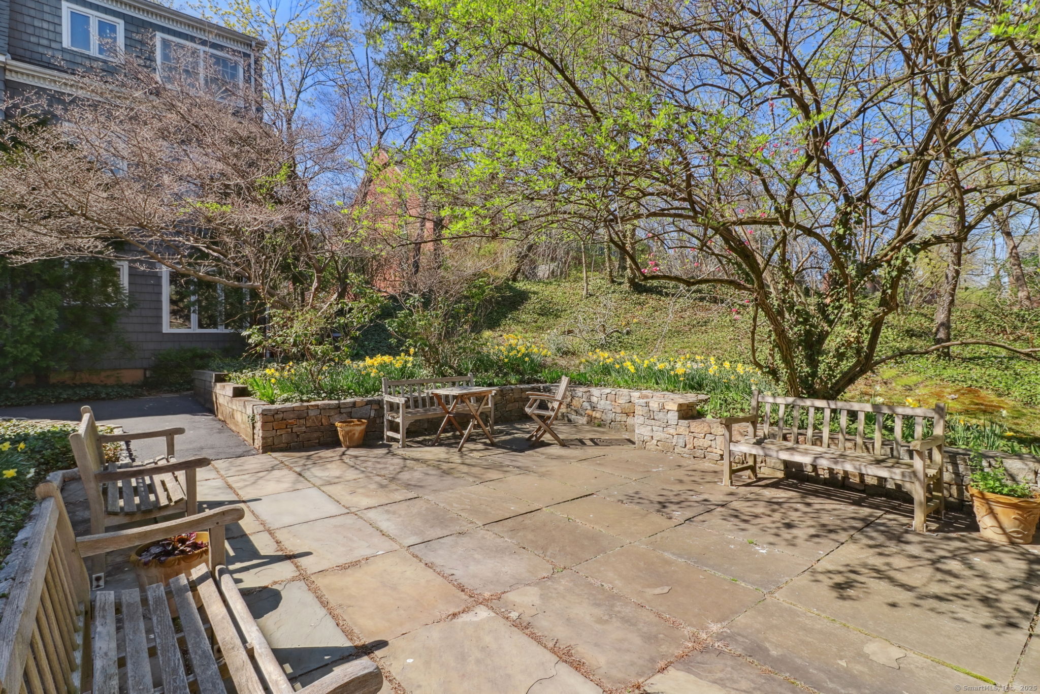 438 Whitney Avenue #APT 3, New Haven, Connecticut image 37
