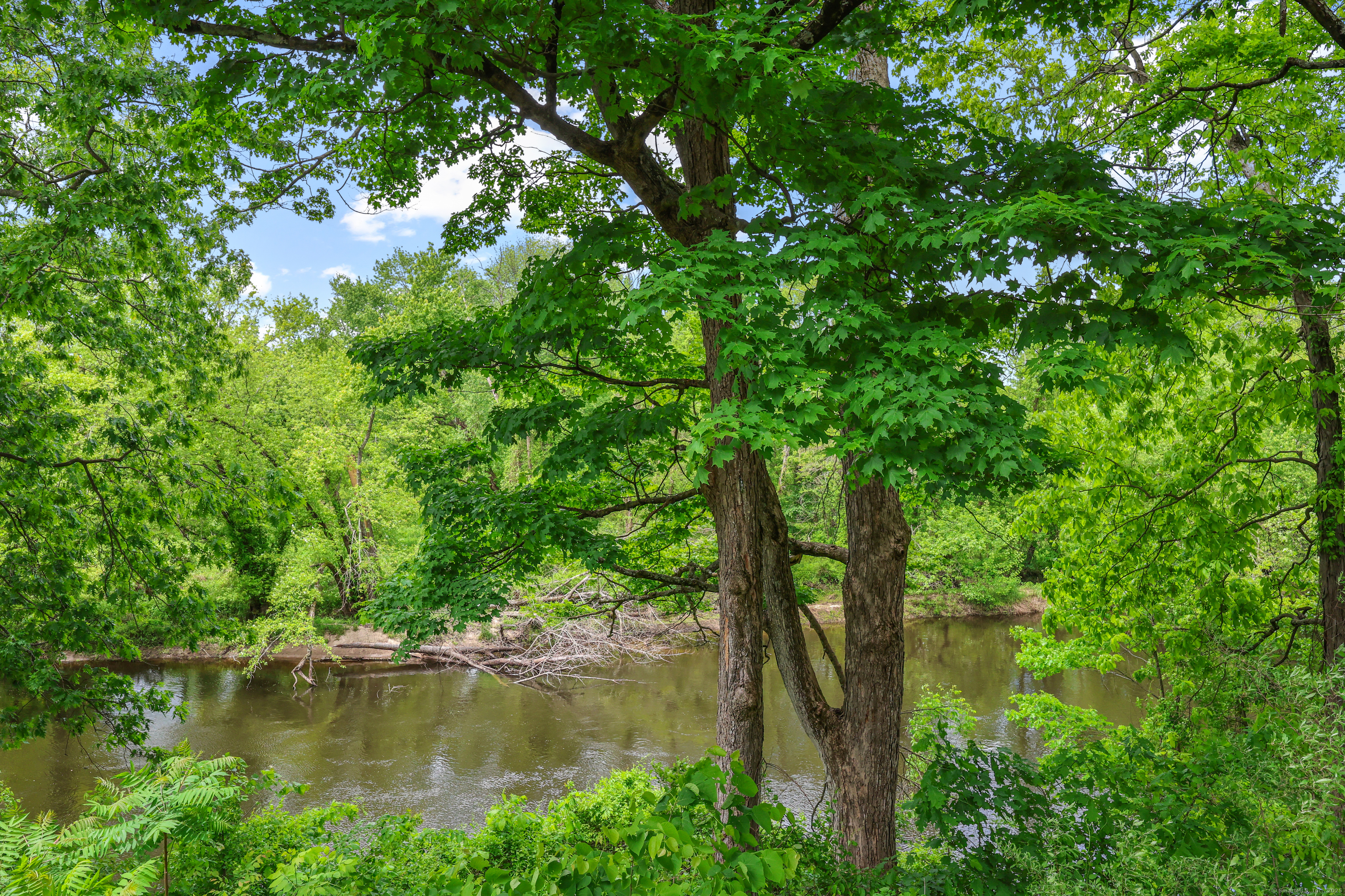 36 Wood Duck Lane #36, Simsbury, Connecticut image 1