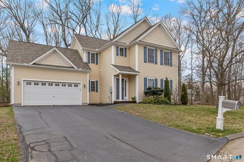Tiny photo for 7 Nicholas Court, East Hampton, CT 06424 (MLS # 24165881)